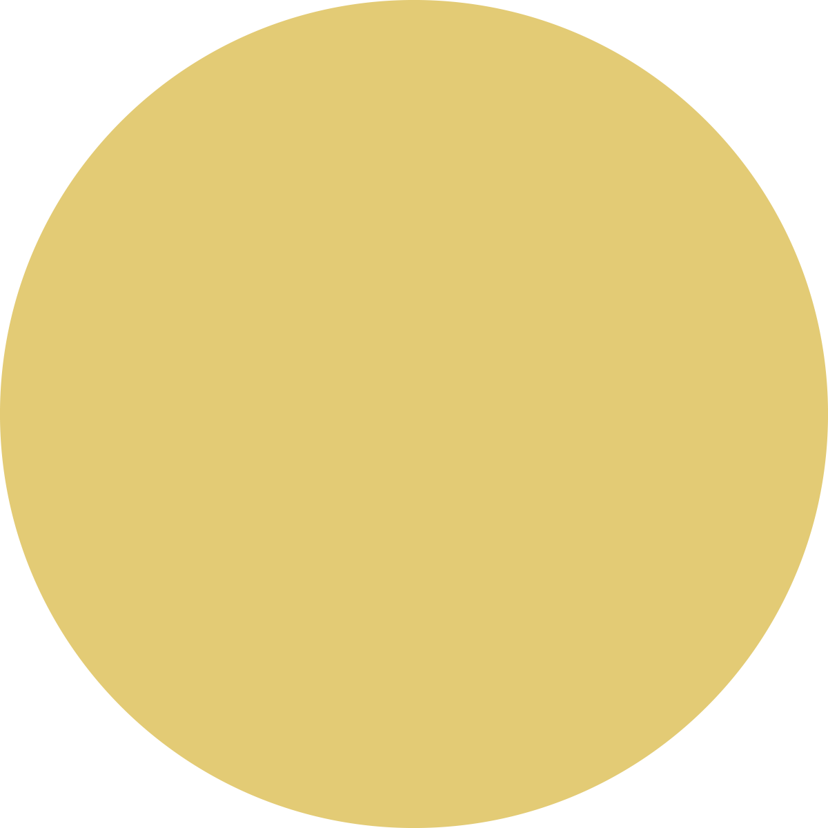 LadyChu_yellow_circle